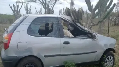 O animal não resistiu aos ferimentos.