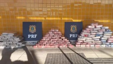 Drogas estavam dentro de cinco caixas — Foto: Polícia Rodoviária Federal