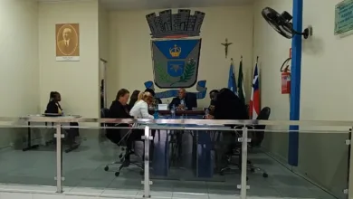 Vereadores durante Sessão Ordinária - Foto: Reprodução/Internet