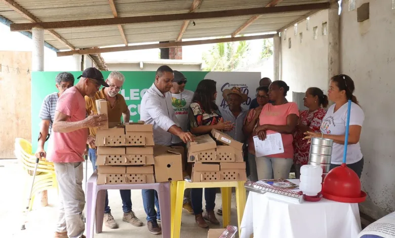 Prefeitura de Santo Amaro realiza entrega de kits produtivos de galinha caipira a agricultores. Foto: Reprodução/Ascom Santo Amaro