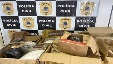 "OPERAÇÃO PAZ": Cadelas K9 encontram cocaína em encomendas dos Correios