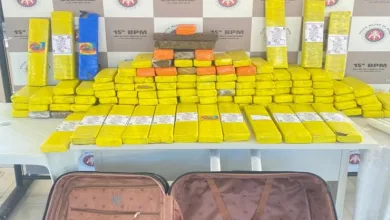 Mala e mochilas são abandonadas com 140 kg de maconha