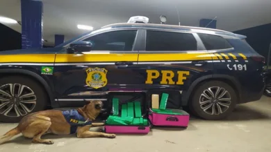 Mulher é presa com drogas em ônibus. Foto: Reprodução/ PRF
