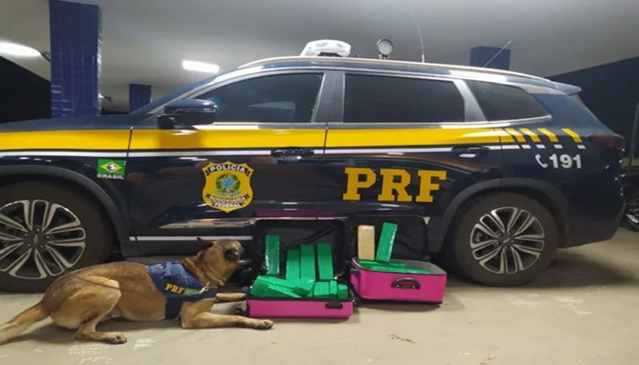 Mulher é presa com drogas em ônibus. Foto: Reprodução/ PRF