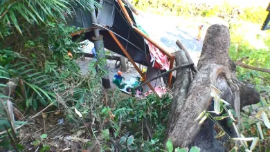Operário sofre acidente durante poda de árvore