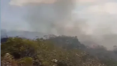 Incêndio atinge 80 hectares de área de vegetação no interior da BA