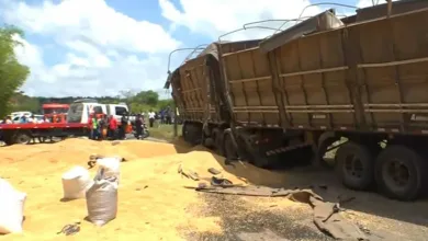Carreta que transportava soja tomba na BR-324
