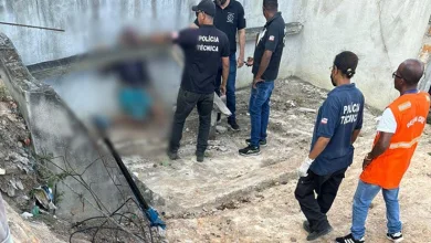 Adestrador de cavalos morre após estrutura de concreto desabar sobre seu corpo
