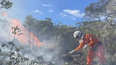 Casos de incêndio são registrados em cidades distintas da Bahia. Foto: Reprodução/Corpo de Bombeiros da Bahia