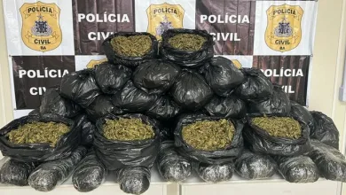 Após ação com presos e drogas encontradas em quarto de hotel, polícia apreendeu mais de 40 kg de maconha. Foto: Reprodução/Polícia Civil