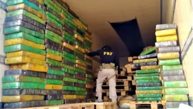 Mais de 2 toneladas de maconha são apreendidas em fundo falso de caminhão — Foto: Divulgação/PRF