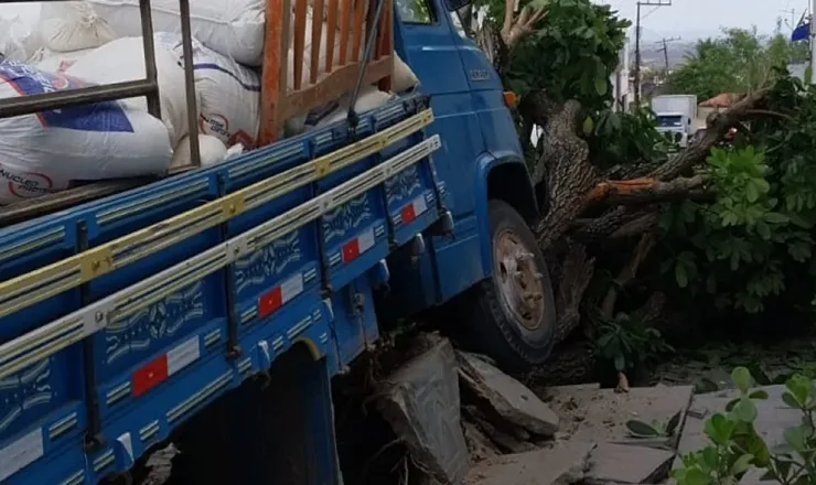 Caminhão desgovernado atinge árvore após perder freio