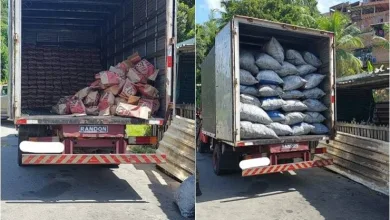 Polícia Militar apreende sacos de carvão ilegal