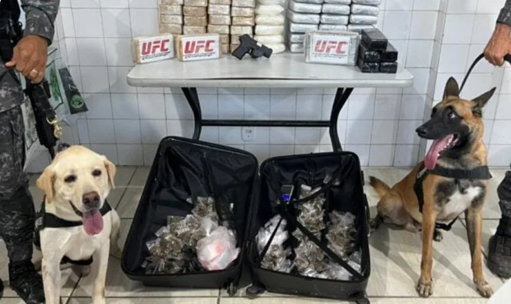 Operação policial apreende 71 kg de pasta base de cocaína