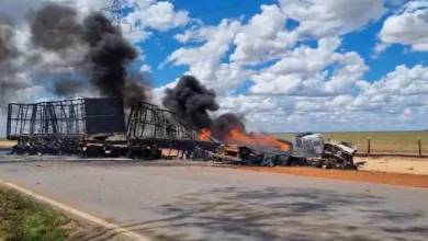 Colisão aconteceu em rodovia no oeste da Bahia — Foto: Reprodução/ Redes sociais