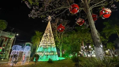 Decoração de Natal na Praça da Purificação - Foto: Reprodução/Redes Sociais