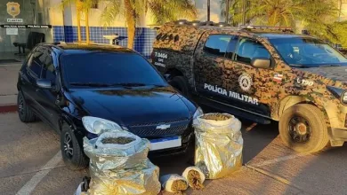 Quatro sacos de maconha foram apreendidos pela Cipe Caatinga - Foto: Divulgação | SSP-BA