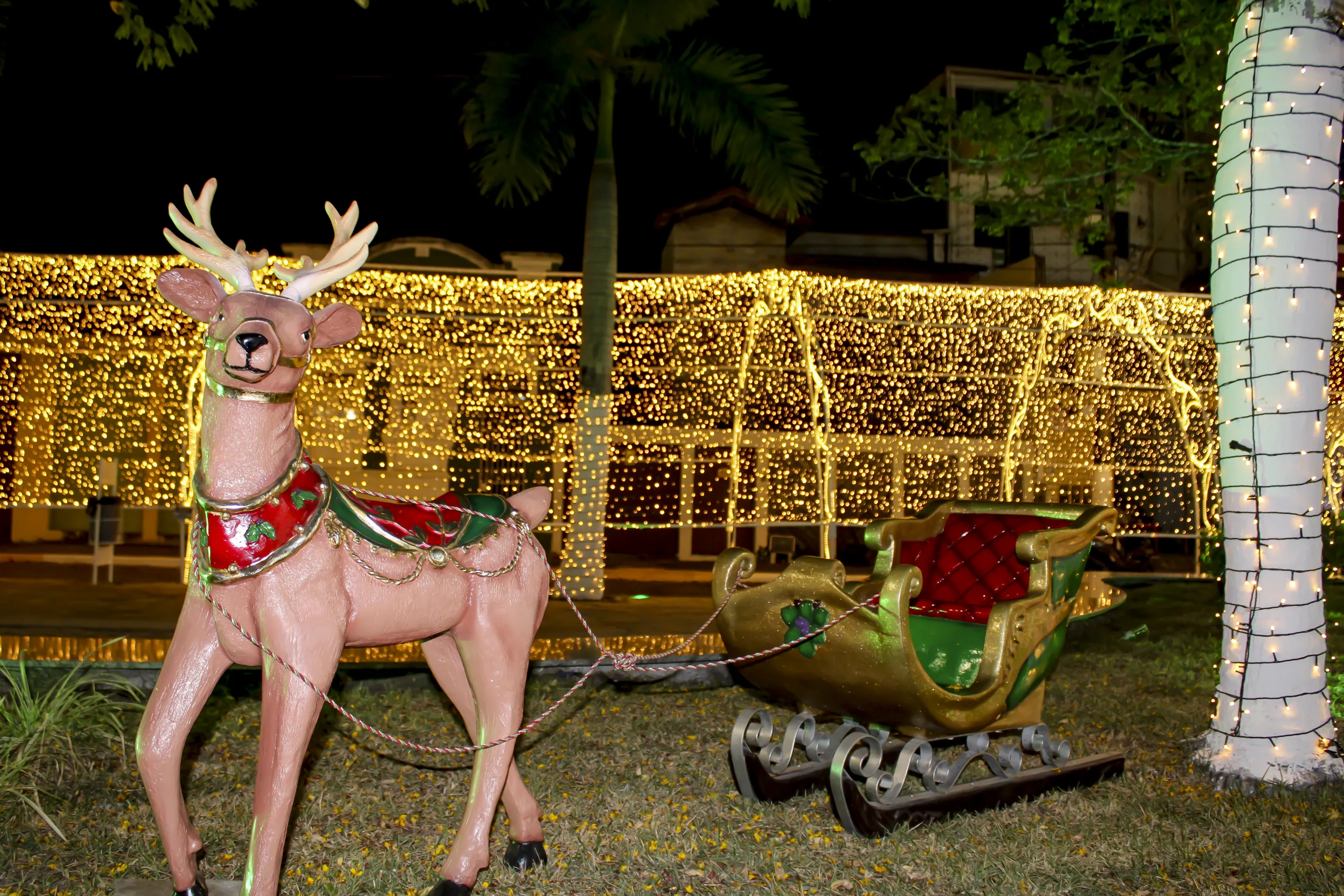 Prefeitura de Santo Amaro inaugura decoração do Natal Luz 2023 - Foto: Fala Genefax