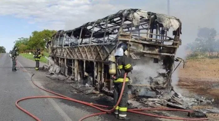 O incidente aconteceu em um trecho da BR-242. Foto: Divulgação/ Corpo de Bombeiros