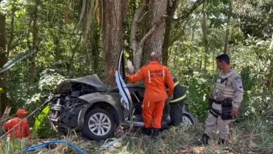 Três pessoas morrem após carro bater em árvore na BR-101. Foto: Reprodução/ Giro em Ipiaú