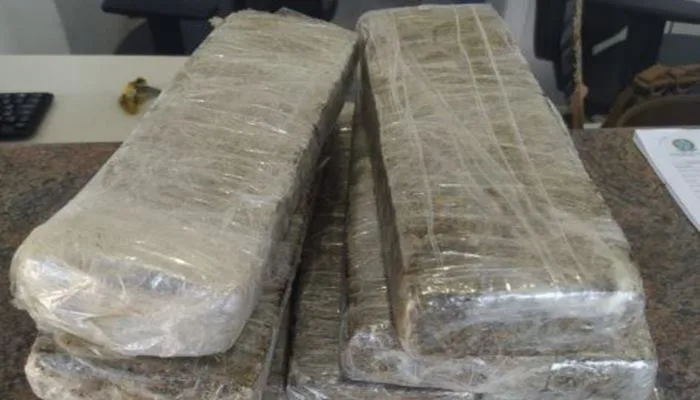 6,6 Kg (seis quilos e seiscentas gramas) de maconha . Crédito: Divulgação