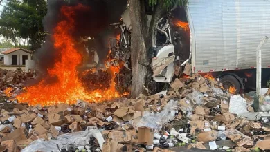 Cabine do veículo foi consumida pelas chamas - Foto: Reprodução/Redes Sociais