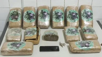 Todo o material apreendido foi apresentado à Delegacia Territorial de Itaberaba - Foto: Divulgação | PM