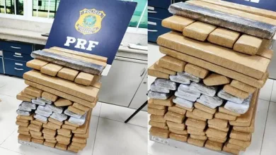 PRF prende 78 kg de maconha na BR 116 - Foto: Divulgação / Nucom PRF