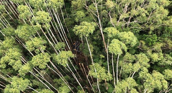 PM encontra helicóptero desaparecido há 12 dias com quatro passageiros- Foto: Reprodução/ PMSP