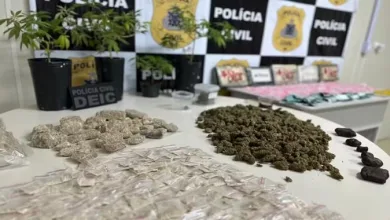 Foragido de SC é preso na BA com drogas que seriam vendidas no carnaval de Salvador — Foto: Divulgação/Polícia Civil