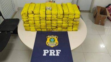 Polícia Rodoviária Federal aprende mais de 50kg de maconha na BR-116- Foto: Reprodução/ Nucom PRF