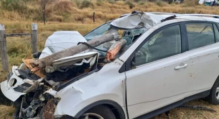 Três pessoas ficam feridas após colisão entre carro e cavalo- Foto: Reprodução