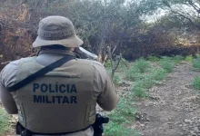 Polícia Militar prende homem suspeito de tráfico de drogas- Foto: Divulgação