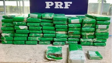 Passageiro é preso após jogar maconha pela janela de ônibus - Foto: Divulgação | PRF