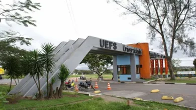 Universidade Estadual de Feira de Santana fica a cerca de 100km de Salvador — Foto: Divulgação