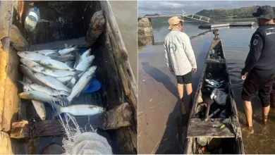 Pesca ilegal com explosivos é flagrada em ação na região de Saubara- Foto: Divulgação/Inema