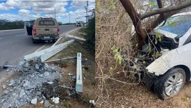 Após atingir poste, o carro saiu da pista e bateu em uma árvore- Fotos: Reprodução/Agmar Rios