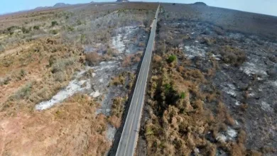 Fogo atinge ciddes do Oeste da Bahia Foto: Divulgação/Corpo de Bombeiros