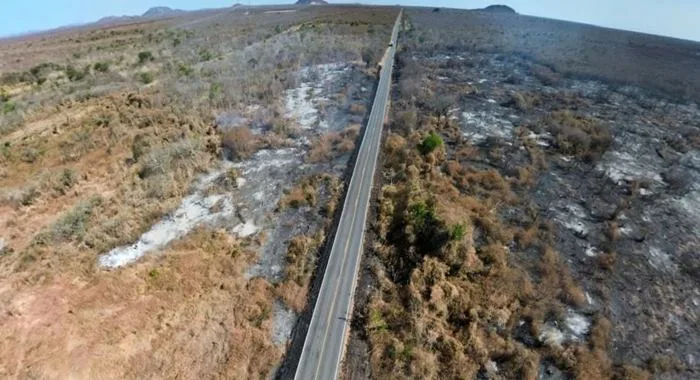 Fogo atinge ciddes do Oeste da Bahia Foto: Divulgação/Corpo de Bombeiros