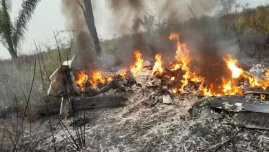 Polícia Militar confirmou que a queda do avião ocorreu em uma fazenda — Foto: Reprodução
