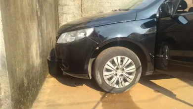 Criança de 7 anos morre atropelada após mãe confundir freio com acelerador - Foto: Reprodução