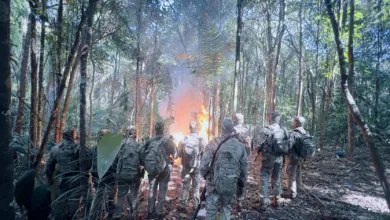 Acampamento utilizado por criminosos é destruído pela Polícia Militar em Vera Cruz- Foto: Reprodução/SSP-BA