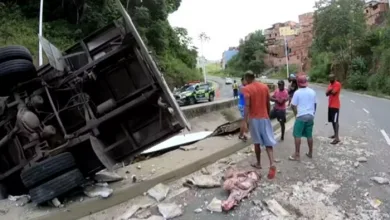 Carne ficou espalhada na pista após acidente — Foto: Reprodução/Redes sociais