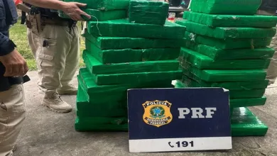 PRF apreende mais de 400kg de substância análoga à maconha em operação na BR-116 - Foto: Divulgação/PRF