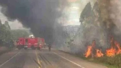 Caminhão frigorífico tomba e pega fogo após populares serem impedidos de saquear carga na BR-116- Foto: Reprodução/ Redes Sociais