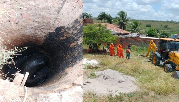 Bombeiros resgatam boi que caiu em fossa em Conceição do Jacuípe- Foto: Leitor FALA GENEFAX