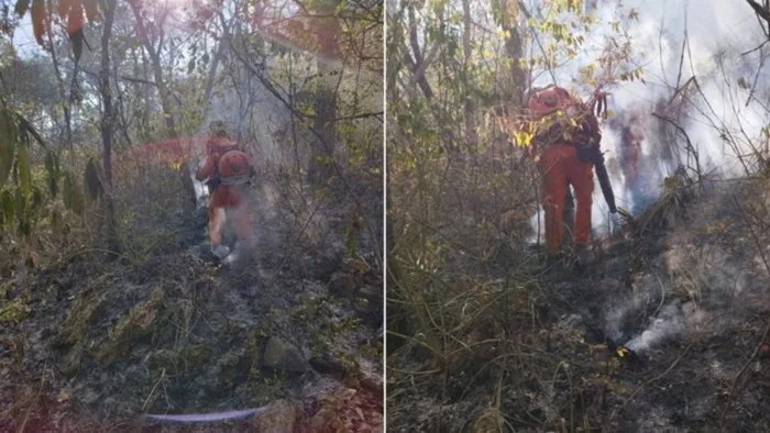 Outras dez cidades baianas ainda têm focos de incêndios florestais- Foto: Divulgação / Corpo de Bombeiros