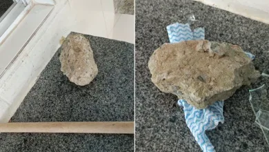 Criminosos usam pedra para quebrar vidro de escola municipal e roubam toda a merenda escolar - Divulgação Reprodução | Redes Sociais