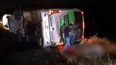 Ônibus tombou na BR-110, na zona rural do município de Catu - Foto: Reprodução/ Redes sociais