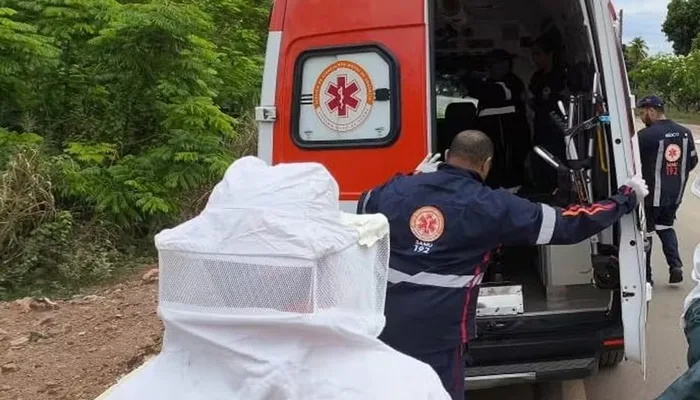 Idoso de 89 anos é atacado por abelhas enquanto trabalhava em fazenda na Bahia — Foto: Divulgação/Corpo de Bombeiros